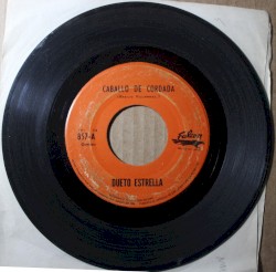 Caballo de la cordada / Errante pasajero