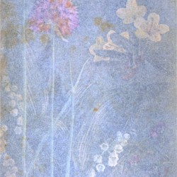 Lolita Action of Splatter Seigaihu