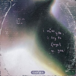 I Miss You, I Try to Forget You