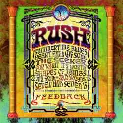 Feedback