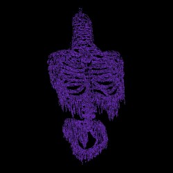 Split EP