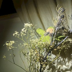 edits and reworks vol 2