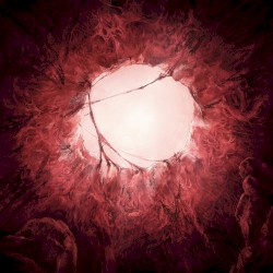 Blood