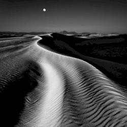 Be Patient, Know That The Things You Want Are Already With You Today