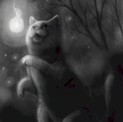 Luna & the Light