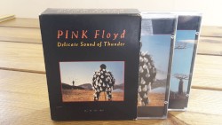 Delicate Sound of Thunder