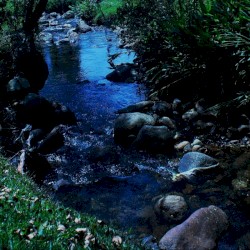 Inspired By The Forces Of Nature