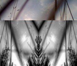 (K)inas