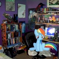 fun :// + emorave (rebzyyx)