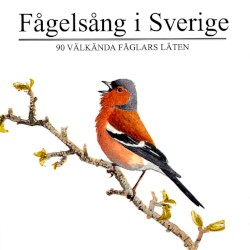 Fågelsång i Sverige