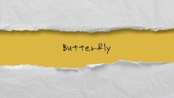Butterfly