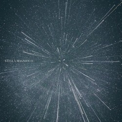 Stella Magnifico
