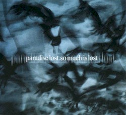 So Much Is Lost