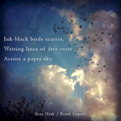 Across a Paper Sky
