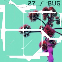 27 / Bug