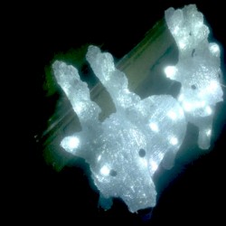 The Legendary Pink Dots' Yuletide Special 2014