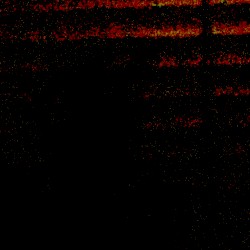 DR0000_5294_2-2-21_12-50am