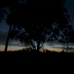 Walking Around During a Power Outage