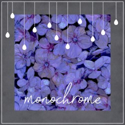 monochrome