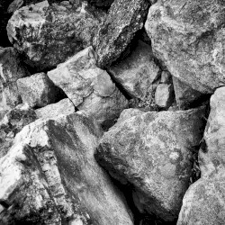 Shallow Grave