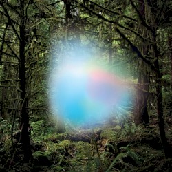 Ghosts of the Forest