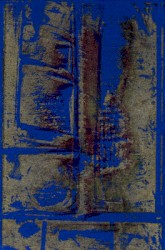 Crocidura Dsi Nezumi