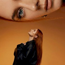 стали целым