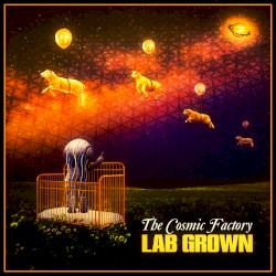 Lab Grown