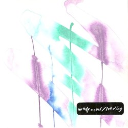 Windy & Carl / Landing