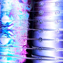 ļ½ļ½ļ½ļ½ļ½ļ½ļ½ (demo)