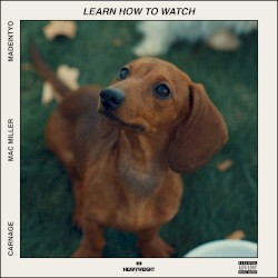 Learn How to Watch