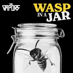 Wasp in a Jar