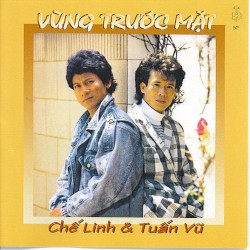 Vùng trước mặt