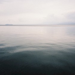 setja