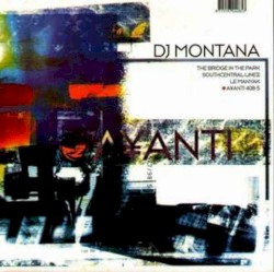 The Bridge in the Park