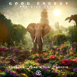 Good Energy (remix)