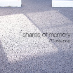 shards of memory