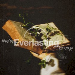 We're Everlasting Energy