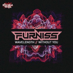 Wavelength / Without You