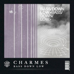 Bass Down Low (extended mix)