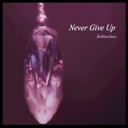 Never Give Up