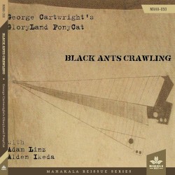 Black Ants Crawling