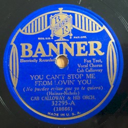 You Can’t Stop Me From Lovin’ You / Stardust