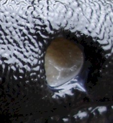 055: four months later a 'loose' man confessed to the crime. But what was the crime?