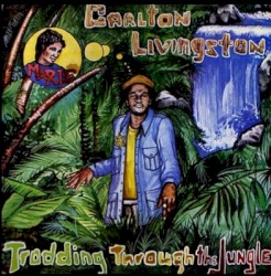 Trodding Through the Jungle