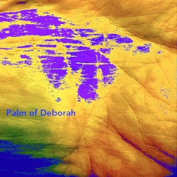 Palm of Deborah