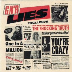 G N’ R Lies