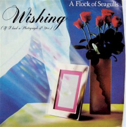 Wishing (If I Had a Photograph of You)