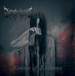 Essence of Existence