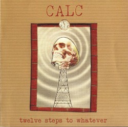 Twelve Steps to Whatever